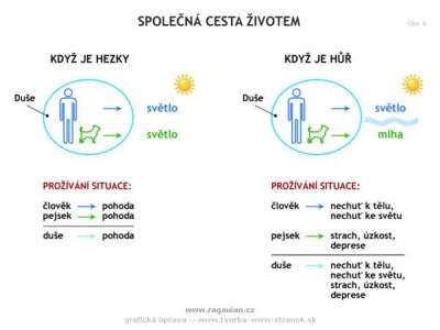 Obrázek 4.jpg